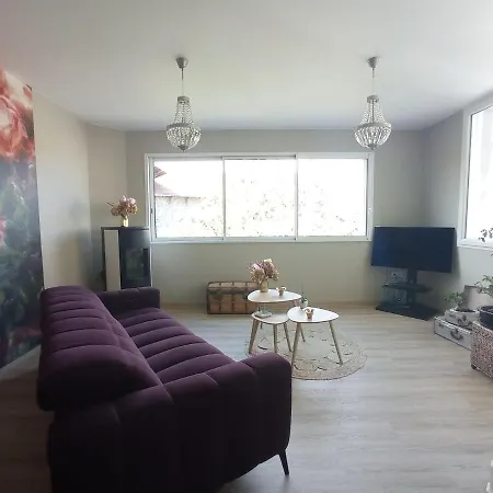 Proche Centre- Gare-stade-hopital- Prisme-belle Vue דירה *