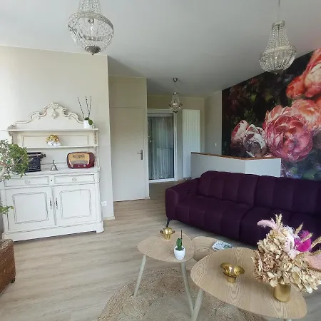 Proche Centre- Gare-stade-hopital- Prisme-belle Vue דירה