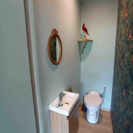 Proche Centre- Gare-stade-hopital- Prisme-belle Vue דירה *